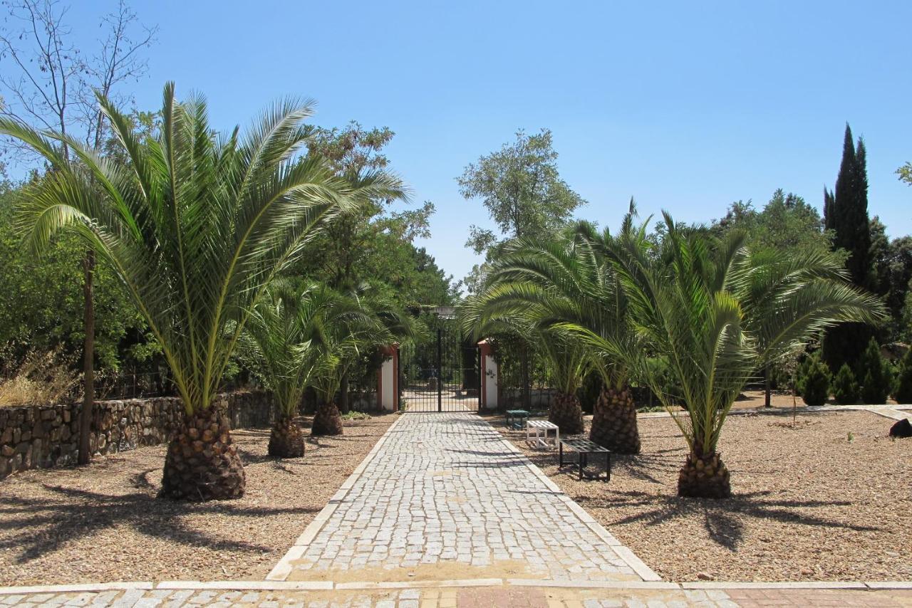 Holiday home La Medina de las Torres